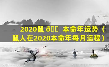 2020鼠 🐠 本命年运势（鼠人在2020本命年每月运程）